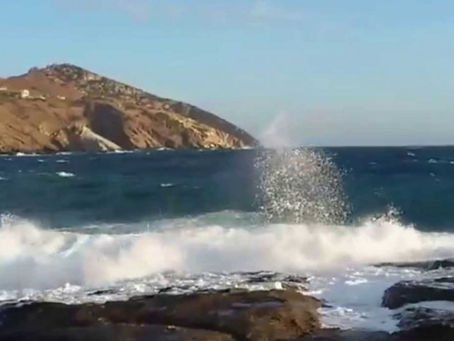 Μελτέμι φύσηξε