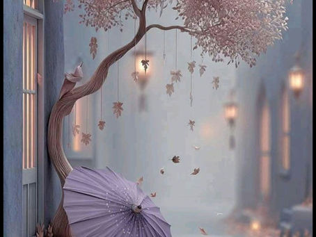 Η βιτρίνα της περασμένης νιότης...