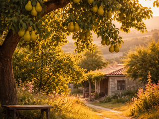 Εκείνη η αχλαδιά...