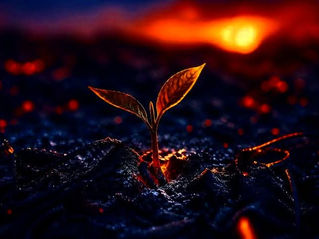 Σπίθα μέσα στη στάχτη 🪽