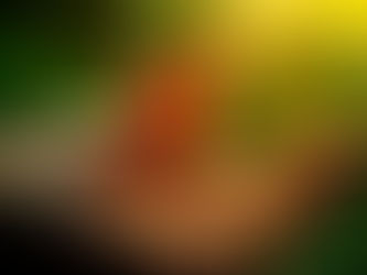 ΨΥΧΗΣ ΣΤΑΓΟΝΕΣ