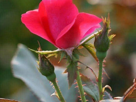 Έλα,Εγώ κι εσύ αυτοεκτίμηση!