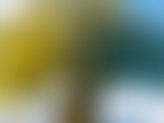 Τα δάκρυα της καρδιάς