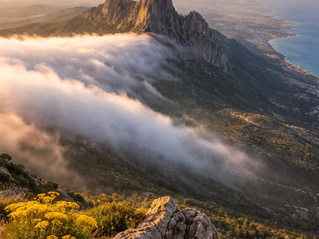 Πενταδάκτυλος...