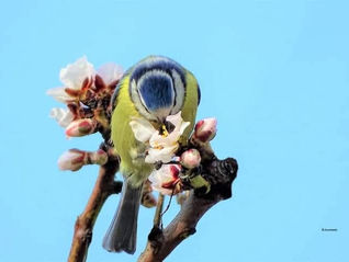 Ποίηση/ Κατερίνα Ηρακλέους 🌹