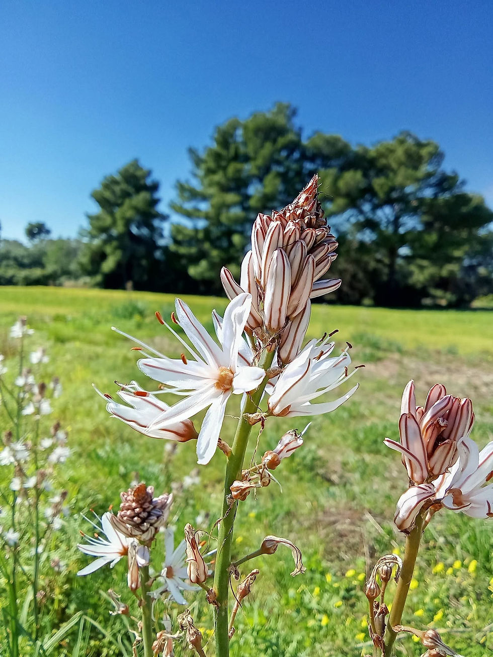 Οι πύλες του ουρανού