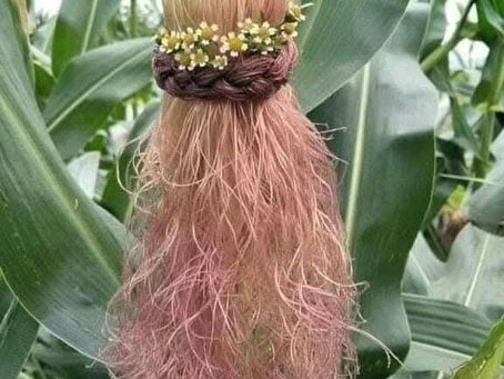 Μνήμες! Κατερίνα Πήττα 🌹