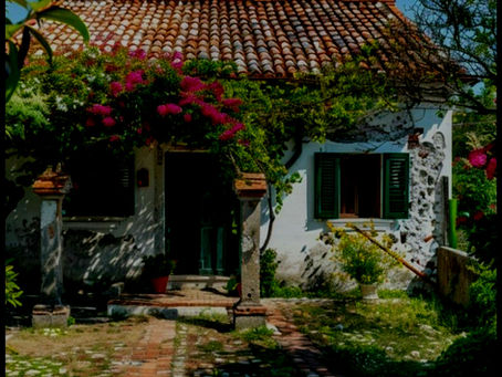 Απόβραδο χαμένης μνήμης 🌹