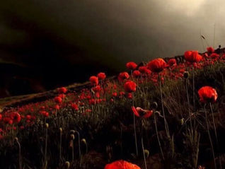 Αιωρούνται οι εποχές... 🌹