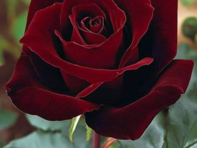 Που μ'αφησες να σε ξεχάσω σε χρεώνω