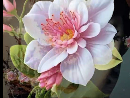 Πολύπλευρη ζωή