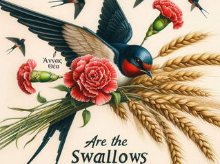 Ήρθαν τα χελιδόνια...