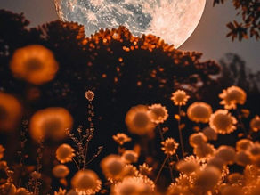 ✨Η ΠΑΝΣΕΛΗΝΟΣ  ΤΟΥ ΜΑΡΤΗ🌙