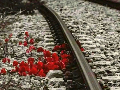 ΤΕΜΠΗ - ΕΛΕΝΑ ΤΡΟΥΜΠΟΥΝΕΛΗ