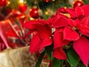 Χρόνια πολλά!!!