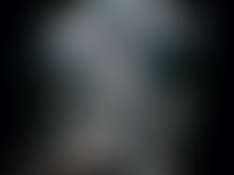 Η ανεμώνη της σιωπής