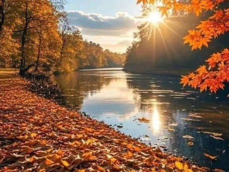 Φθινοπώρου ημέρας 🍁