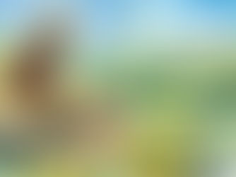 Παντού σε αναζητώ ❣️