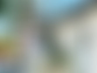 Ορθάνοιχτες πόρτες