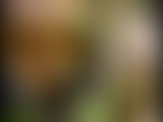 Νόσος,η νοσώ...