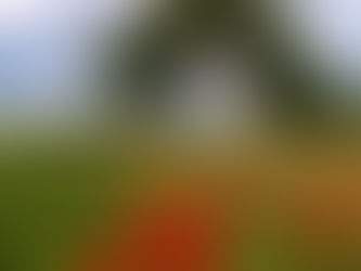 Η ελπίδα ύπαρξη κρατά 🌹