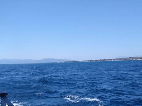 "Κοέλ των στεναγμών μου"💦