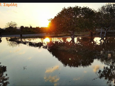 ΧΡΥΣΟΚΕΝΤΗΤΟ 🌹