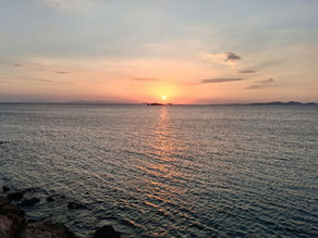 Να προλάβουμε 🌹