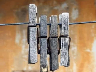 Μια εικόνα χίλιες λέξεις 🌹