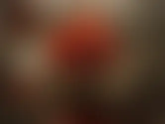 Αιμάσσουσα Ανθεμώνη