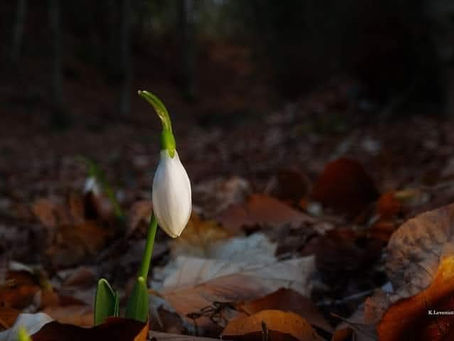 Μια σκέψη...