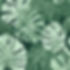 FADED GREEN SHADES OF MONSTERA PRINT.jpg