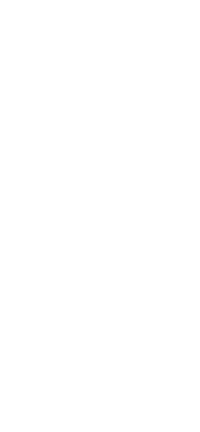 MOUSE.gif