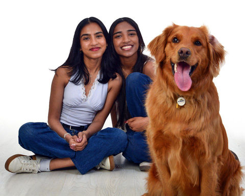 Pets (4)