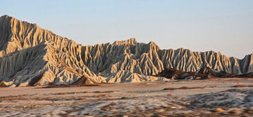 Nature & Objects (19)