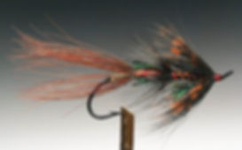 Wilkinson Shrimp (Light)