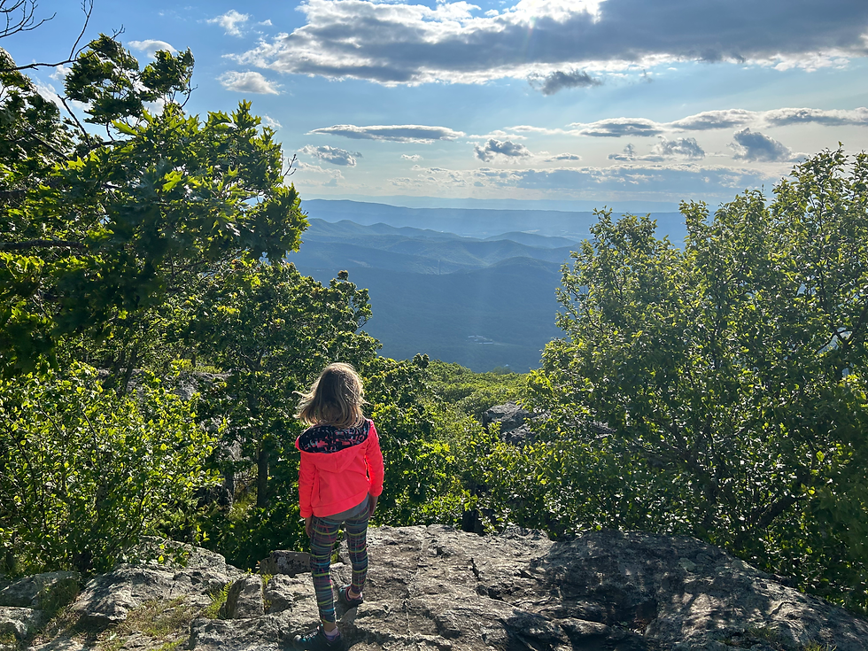 Hiking New River Gorge and Shenandoah with Kids
