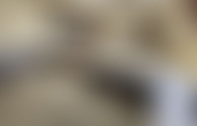 Construction Progress - Week 32