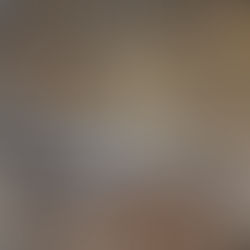 Construction Progress - Week 36