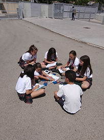 IMG_20190522_154413.jpg