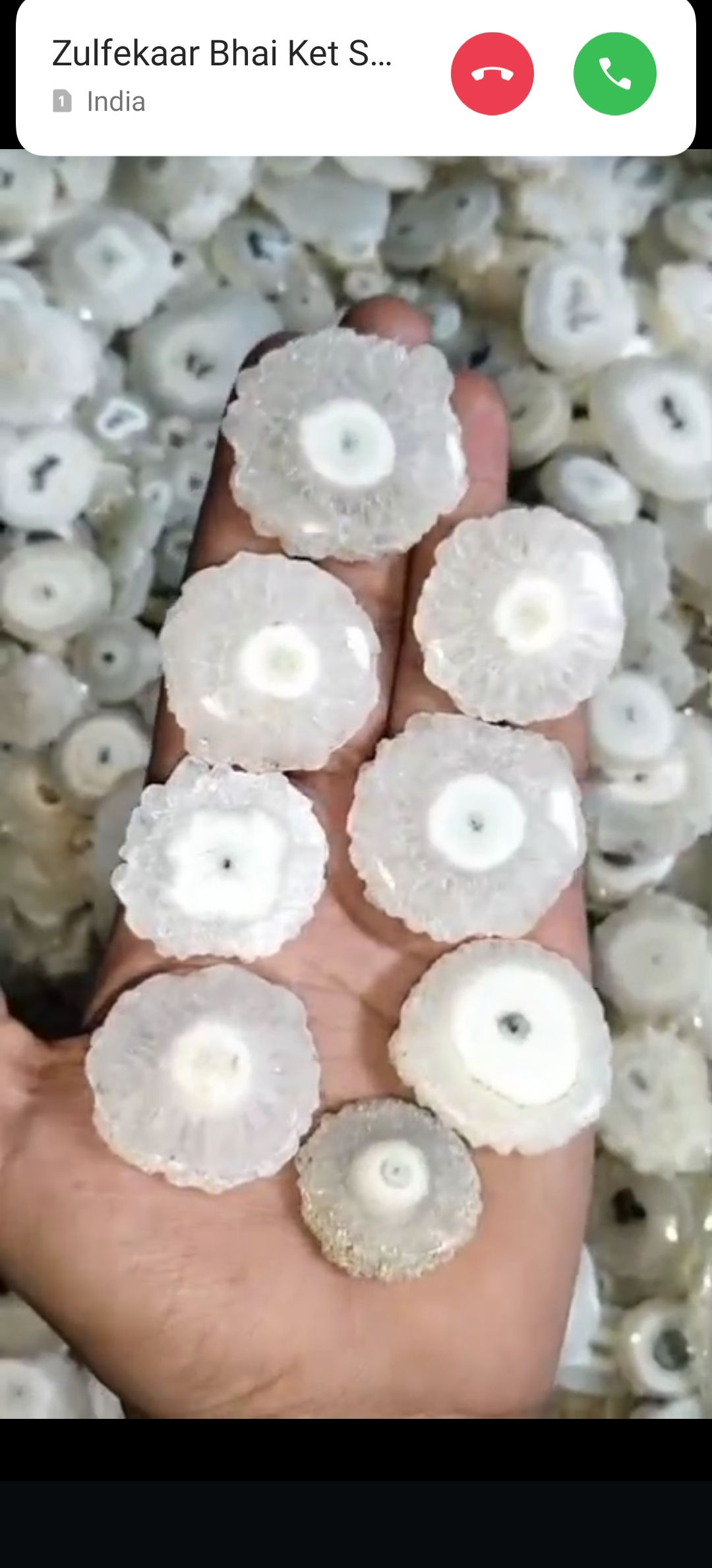 Soler kuwas firee size lot 