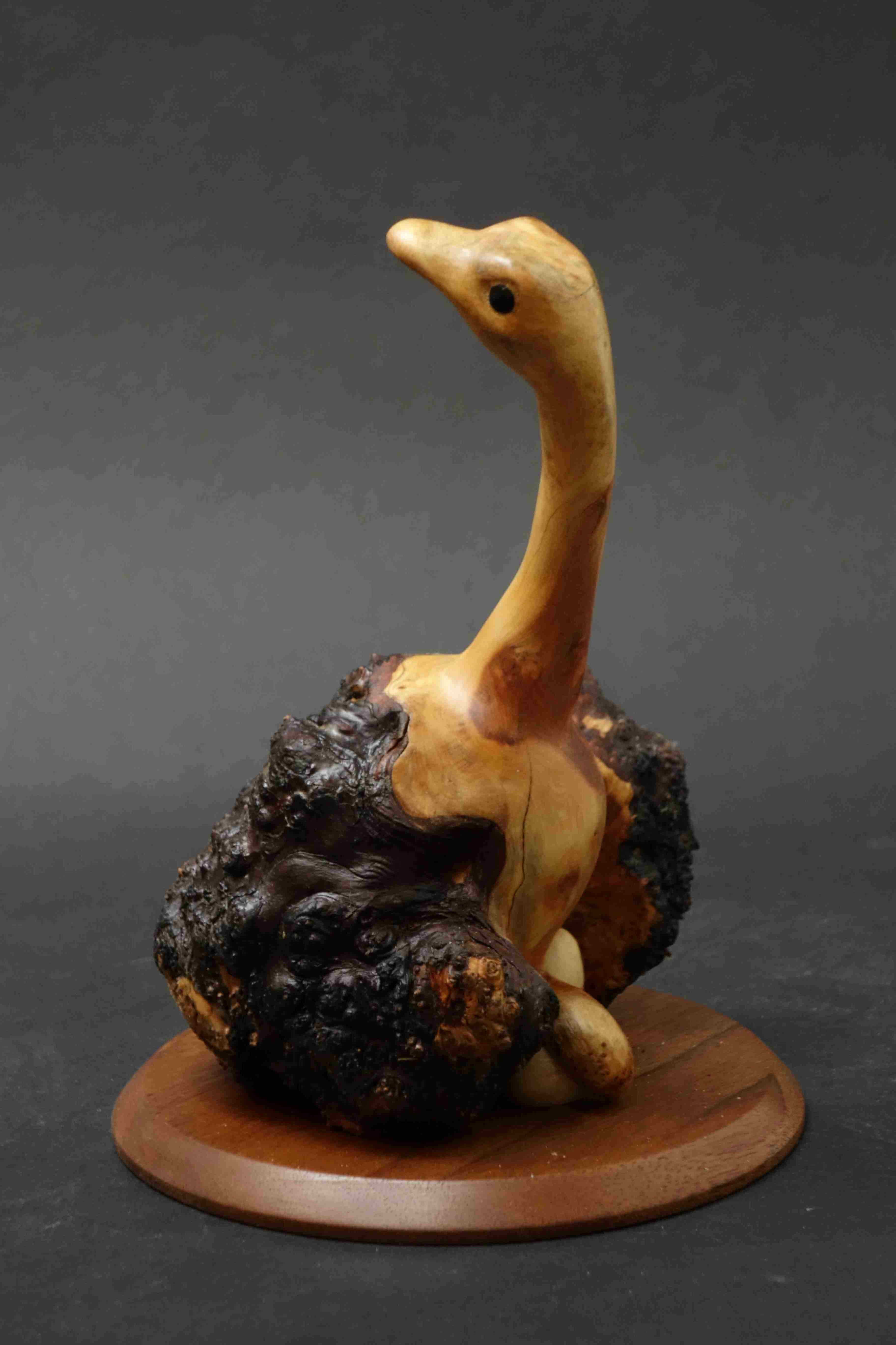 Une autruche couve ses œufs, sculpture en bois de Christian Delacoux