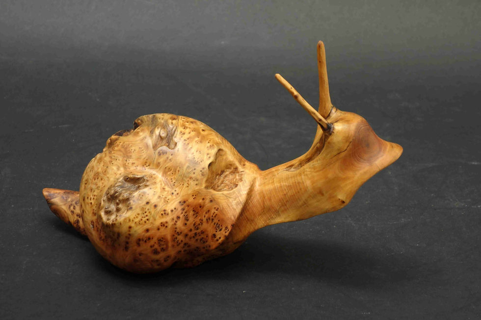 Miniature : Escargot à partir d'une racine de cade,L19 cm sculpture de Christian Delacoux