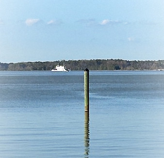 IMG_4972_edited.jpg