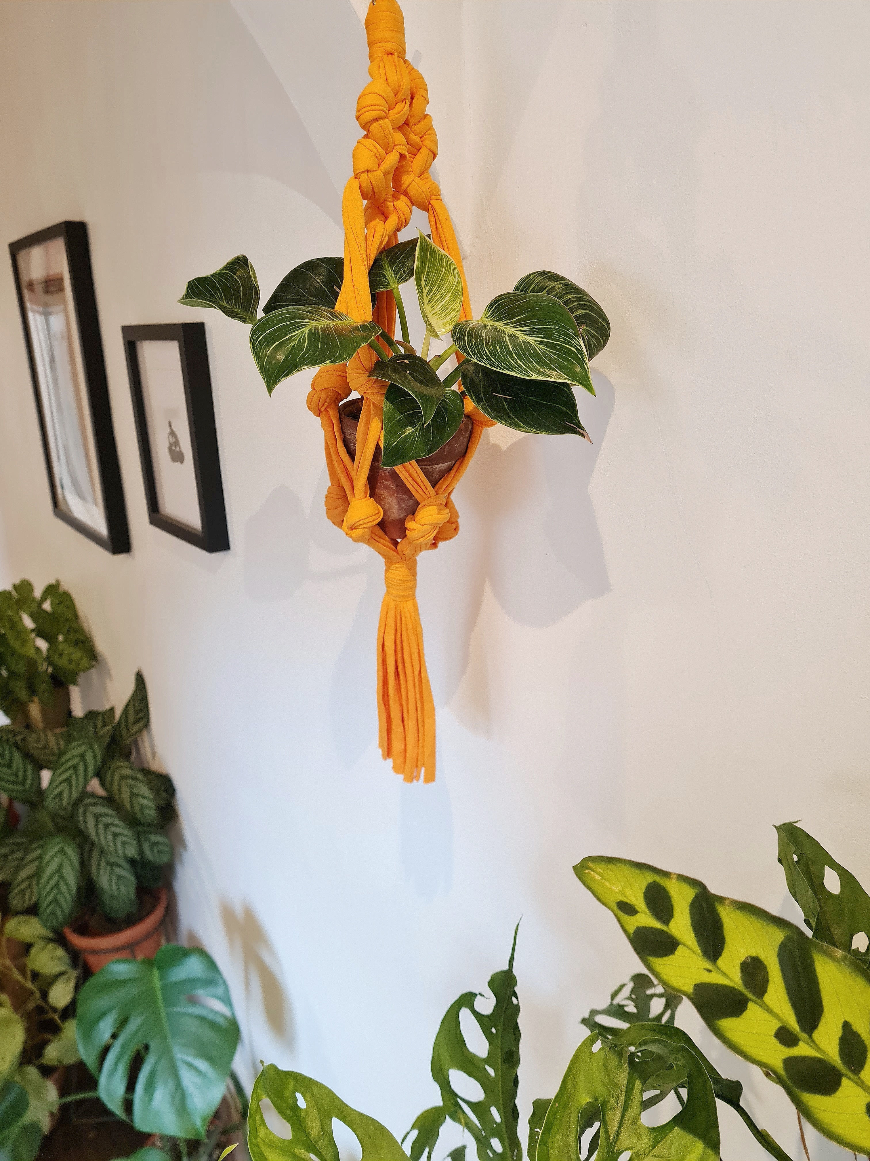 Sarora Knots Plant Hanger