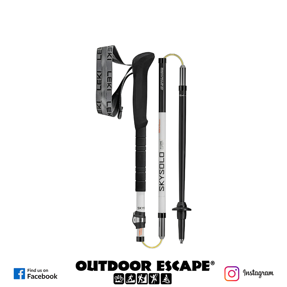 Leki Skysolo FX One Carbon