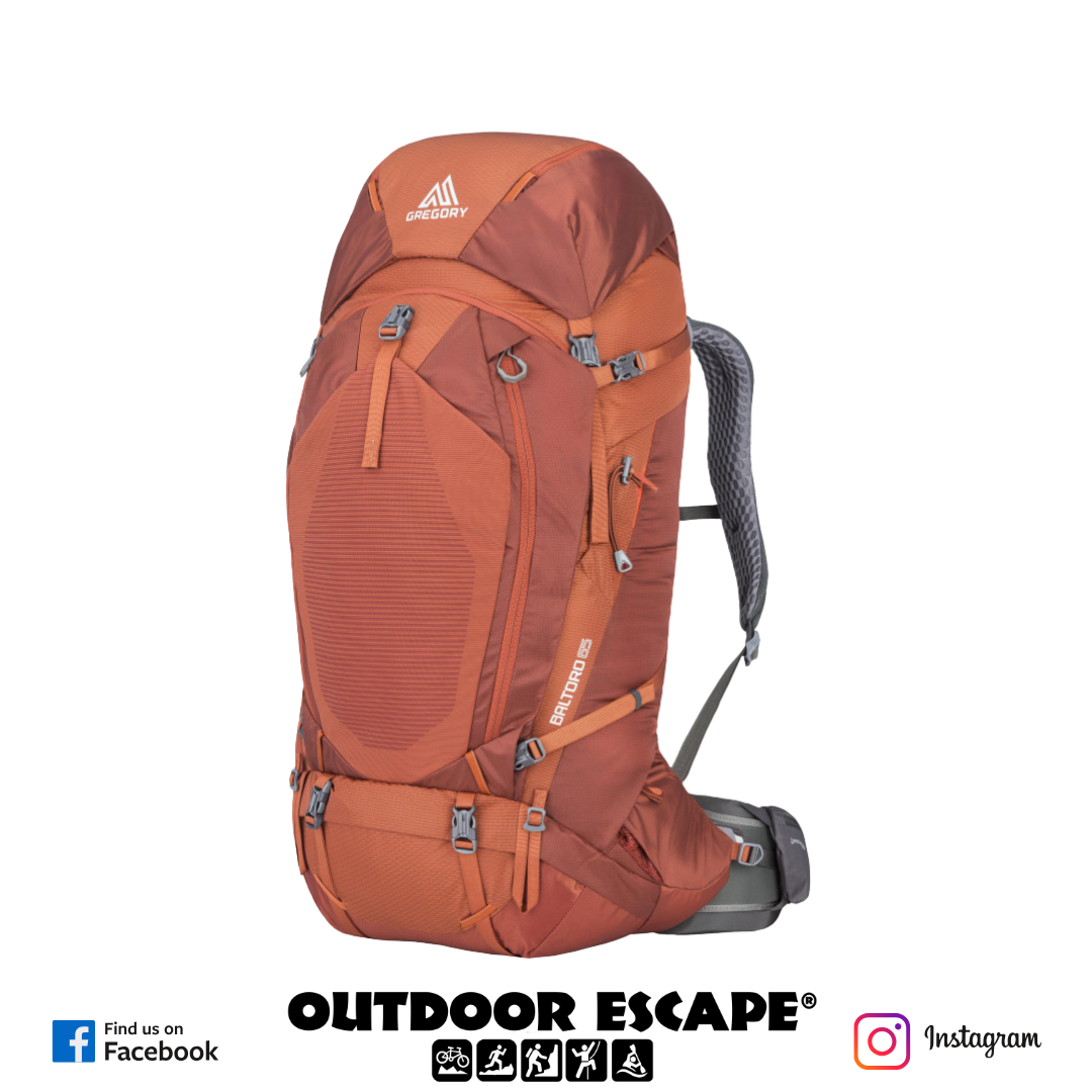 Gregory Baltoro 65L