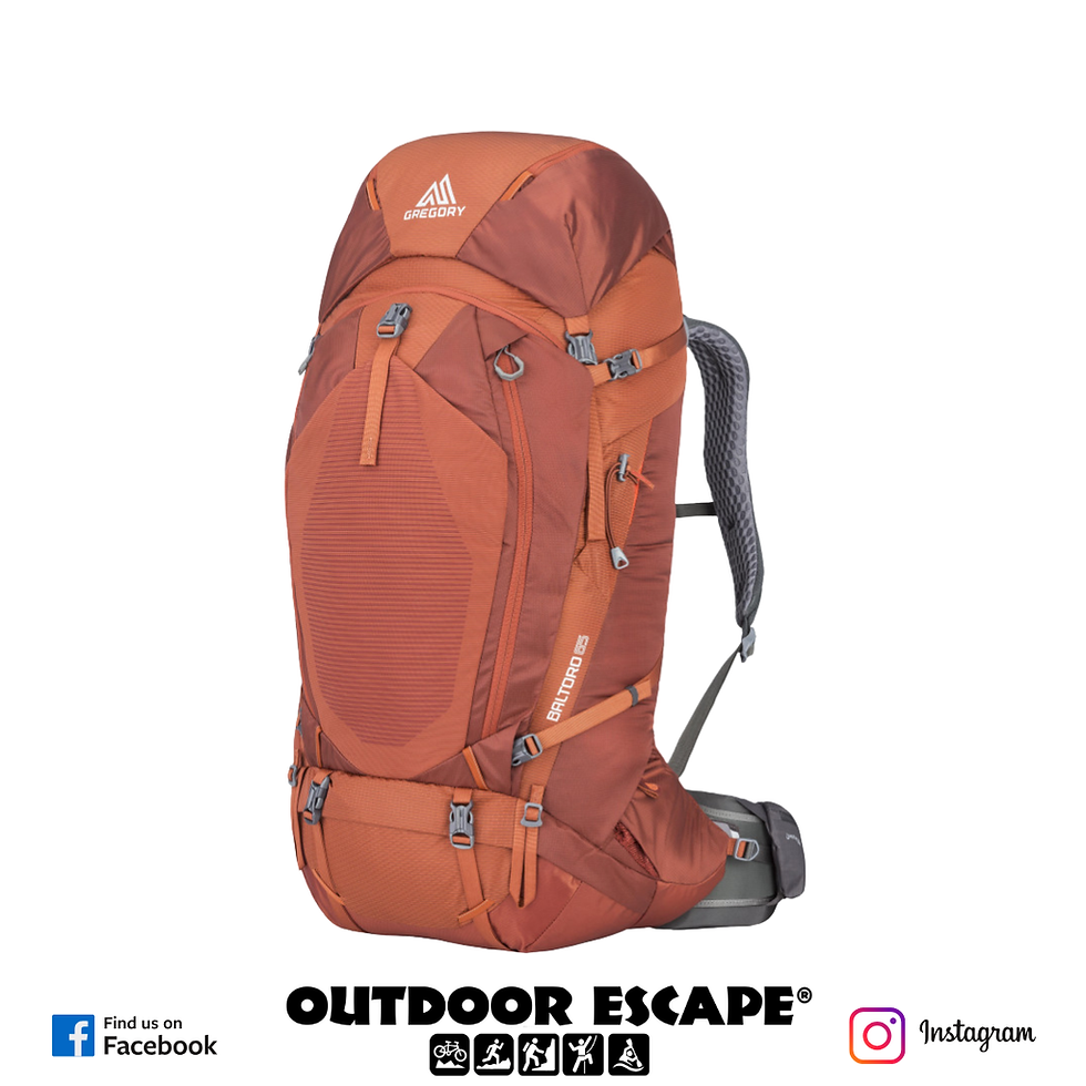 Gregory Baltoro 65L