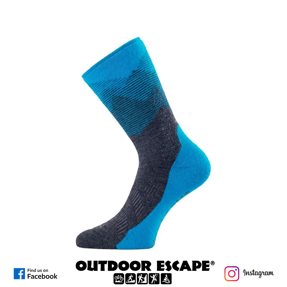Lasting Merino FWN-585 Socks