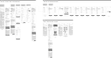 events-wireframes-small_0_edited.png